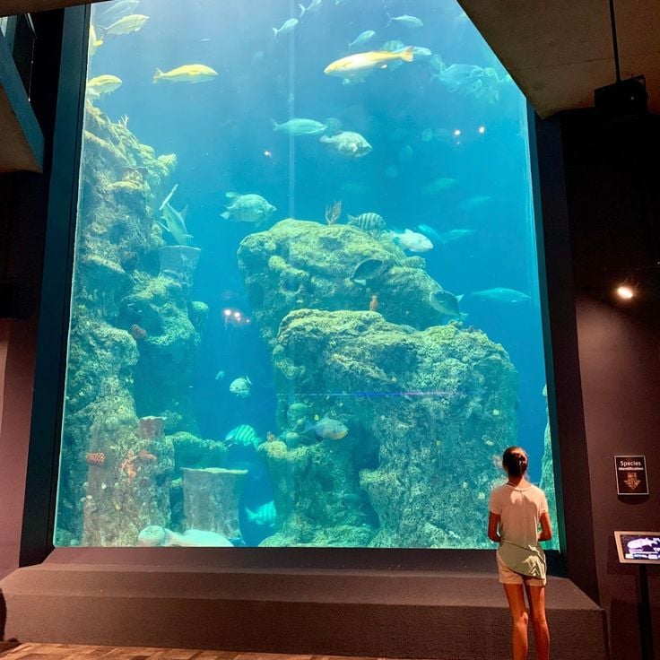 South Carolina Aquarium
