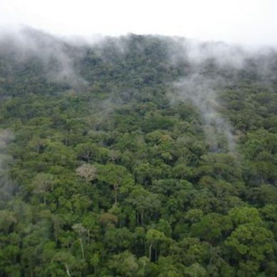 Parco nazionale di Gola Rainforest