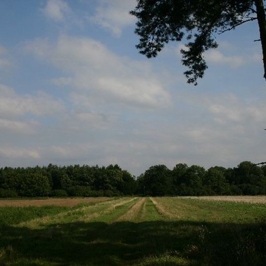 Fakenham Wood and Sapiston Great Grove