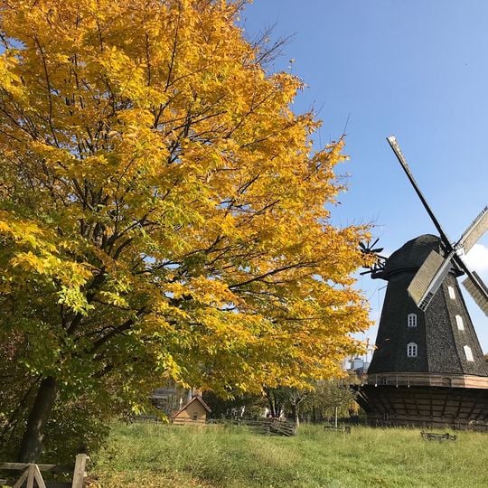 Windmühlen in Berlin