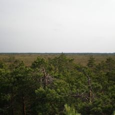 Puurijärven Ja Isonsuon Kansallispuisto