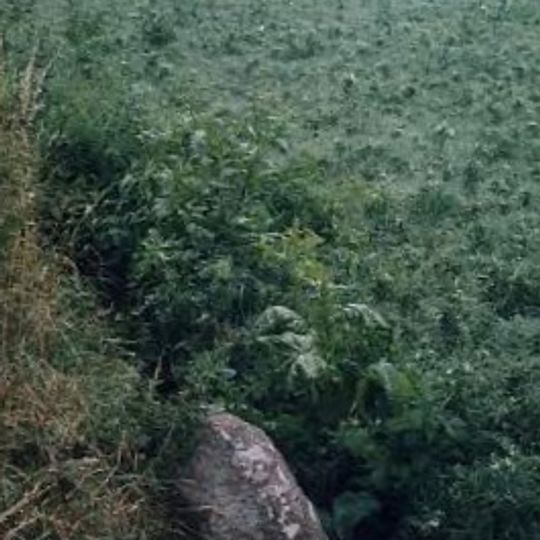 Milestone, Station Road, 130yds S of jct with White Cross Lane