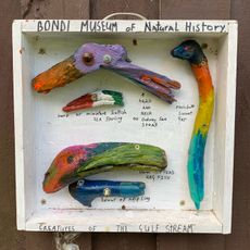 Bondi Museum of Natural History