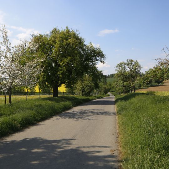 Obstbaum- und Lindenallee am Dreispitz