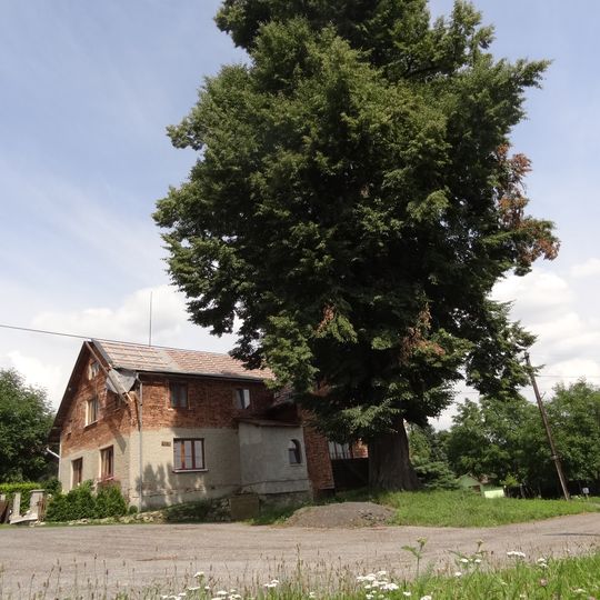 Lípy na návsi v Hradčanech