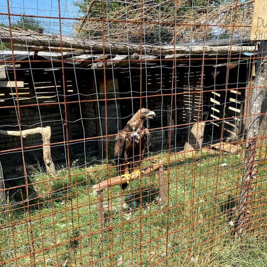 Kopshti zoologjik "Ujku Trump"