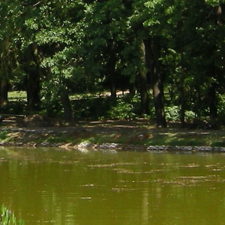 Debrecen