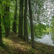 Парк с прудами (Кудрёшки)