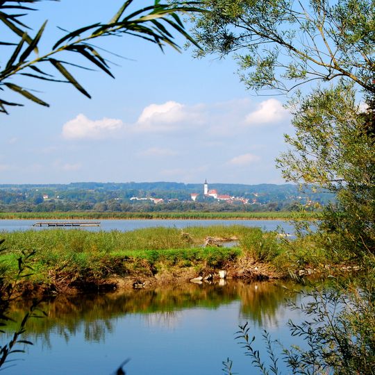 Vogelfreistätte Ammersee-Südufer