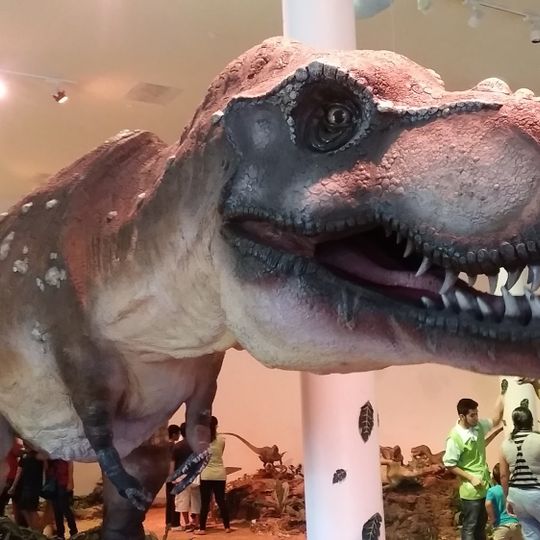 Museo Interactivo del Acertijo