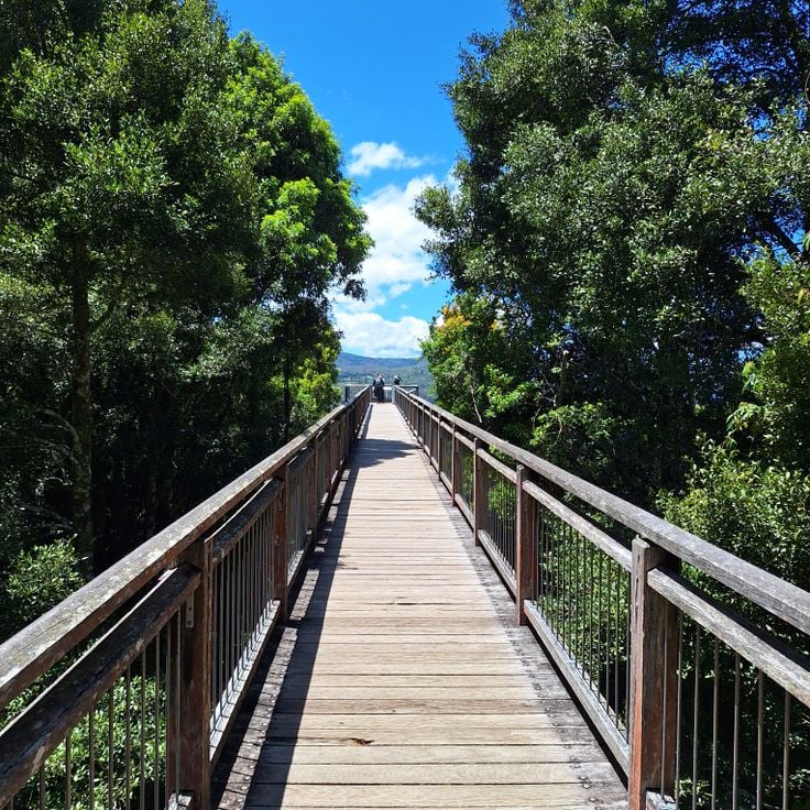 Dorrigo Nationalpark