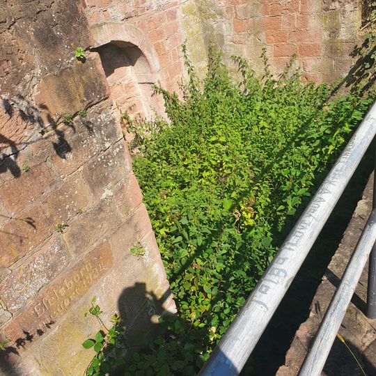 Von Gehren'scher Brunnen, sog. Eselsborn