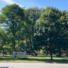 George Street Parkway