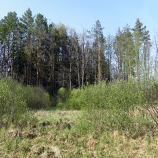 Mykhailovychi landscape preserve