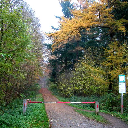 NSG Waldnaturschutzgebiet Knechtsteden