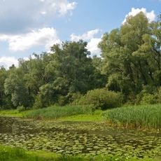 Zacharovana Desna Reserve