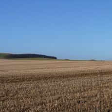 Eleven round barrows 1000m north of Baltic Farm forming part of a barrow cemetery, and a probable enclosed Iron Age farmstead on
