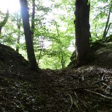 Burg Neuhaus (Eltville)