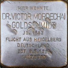 Victor Mordechai Goldschmidt
