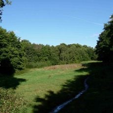 Hampstead Heath