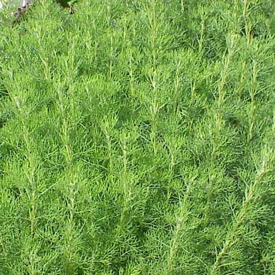 Jardín Botánico Yves Rocher de La Gacilly