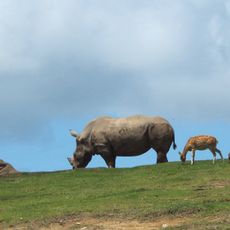 Kyushu African Safari