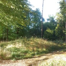 Hügelgräber im Leechwald