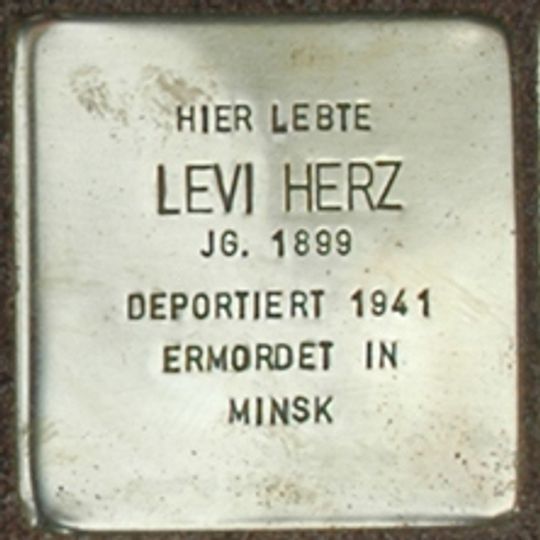 Stolperstein dedicated to Levi Herz