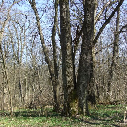 Schutzgebiet Pjatnytschany