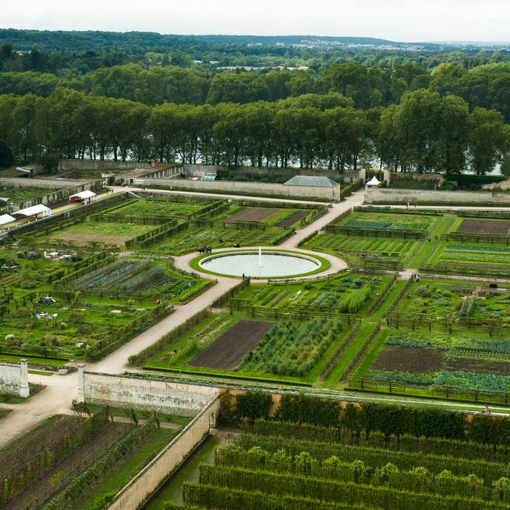 Potager du roi