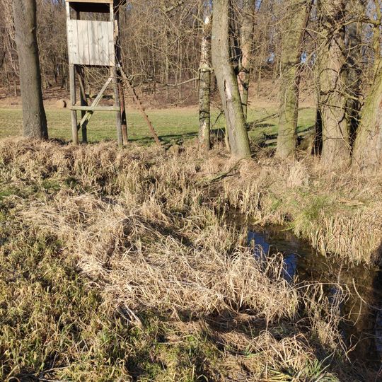 Ambona - 5 cio minutówka