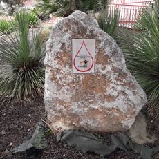 Stele