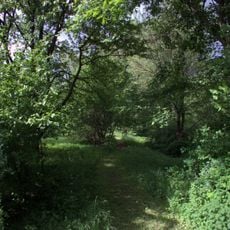 Naturdenkmal Kienpfuhl