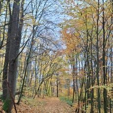 Nature reserve Szumny Zdrój