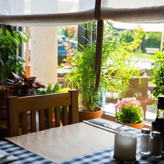 Trattoria Pergamin Nullo