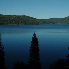 Plumas National Forest