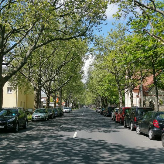Platanen-Allee Bremer Straße