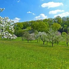 LSG 'Wendlingen am Neckar' (6 Teilgebiete) vom 25.11.1992