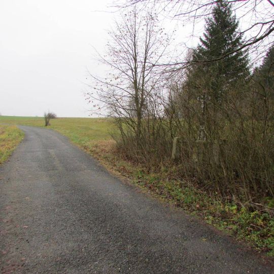 Kříž u cesty mezi Veselou a Ctiboří na okraji lesa