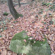 Glacial erratics in Frýdecký les
