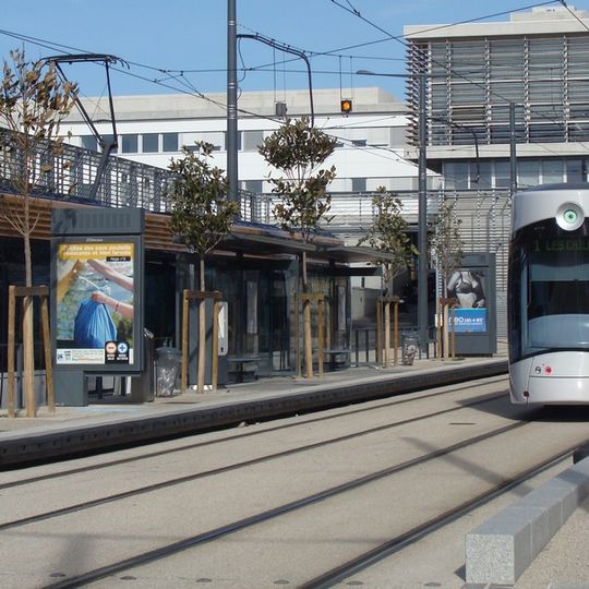 V arrondissement di Marsiglia