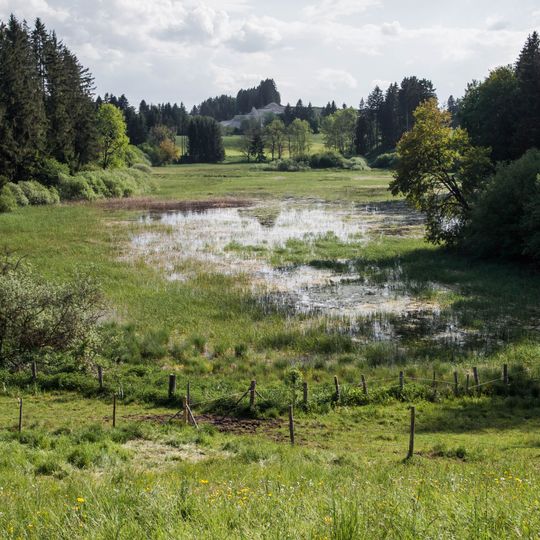 LSG Toteiskessel zwischen Burggen und Bernbeuren