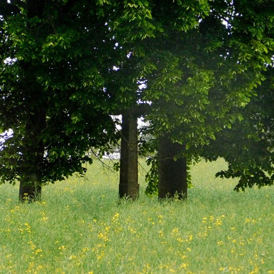 Kříž uprostřed pole jižně od Tuklek