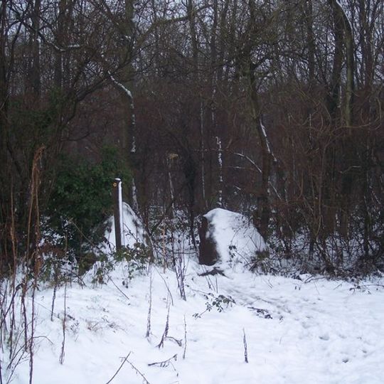 Westfield Wood