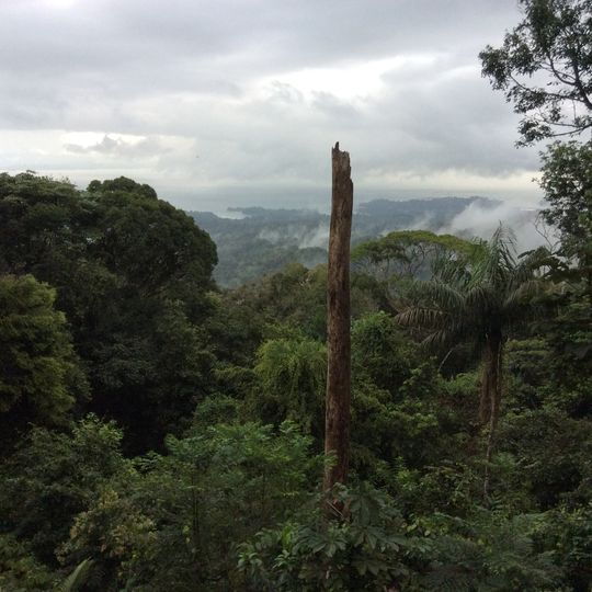 Brownsberg Nature Park