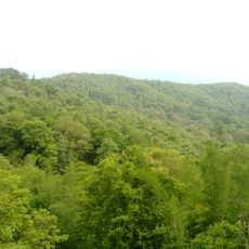 Sanctuaire faunique de Parambikulam