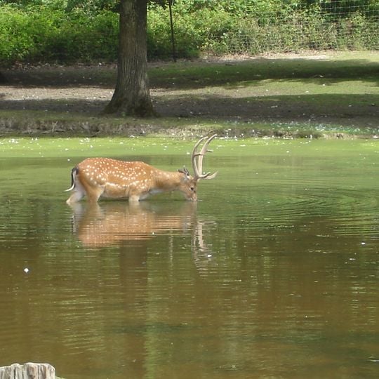 Parc animalier de la Haute-Touche