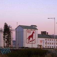 Dingo Flour sign