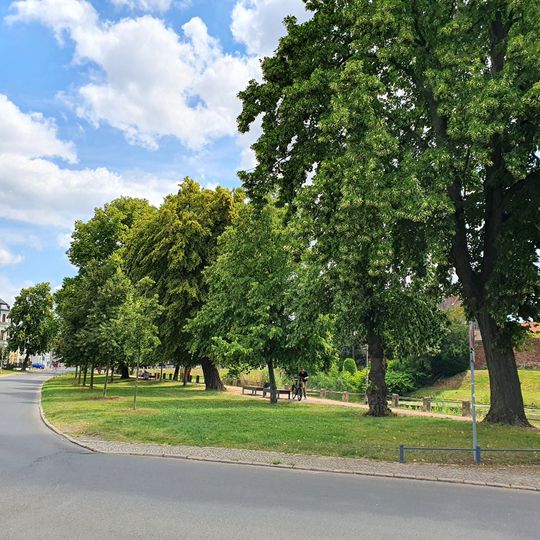 Alley from Tilia at wall-ditch, Delitzsch