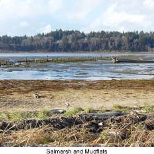 Grays Harbor National Wildlife Refuge